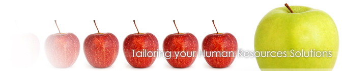 Tailoring your Human Resources Solutions